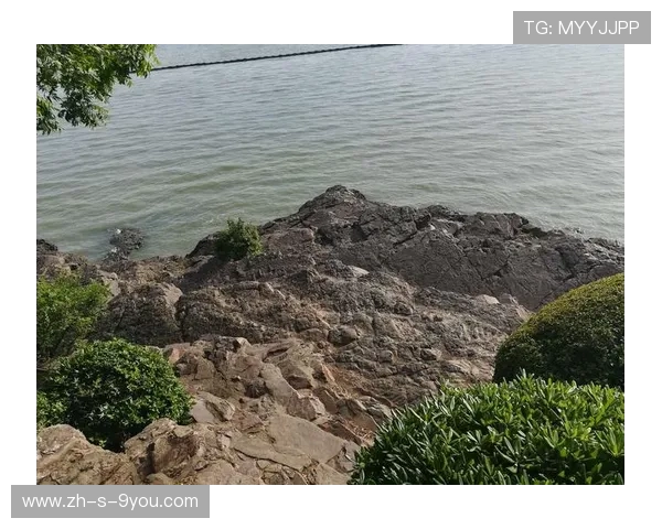 杭州与南京极限运动队赛后心理素质分析与反思